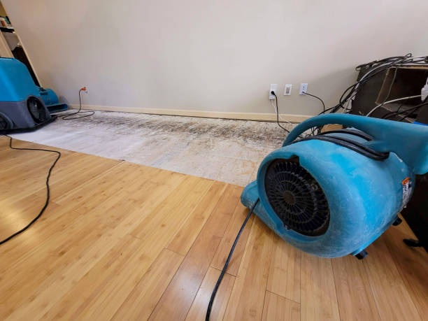 Professional Water Damage Repair technician working in Nevada, NV
